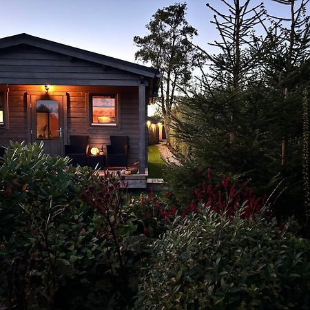 Chalet In Het Groen Met Airco Drachtstercompagnie Exteriör bild