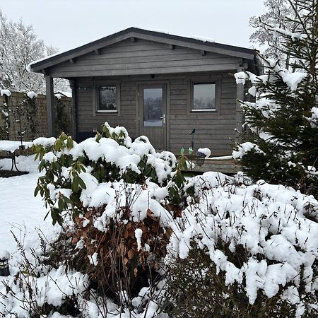 Chalet In Het Groen Met Airco Drachtstercompagnie Exteriör bild