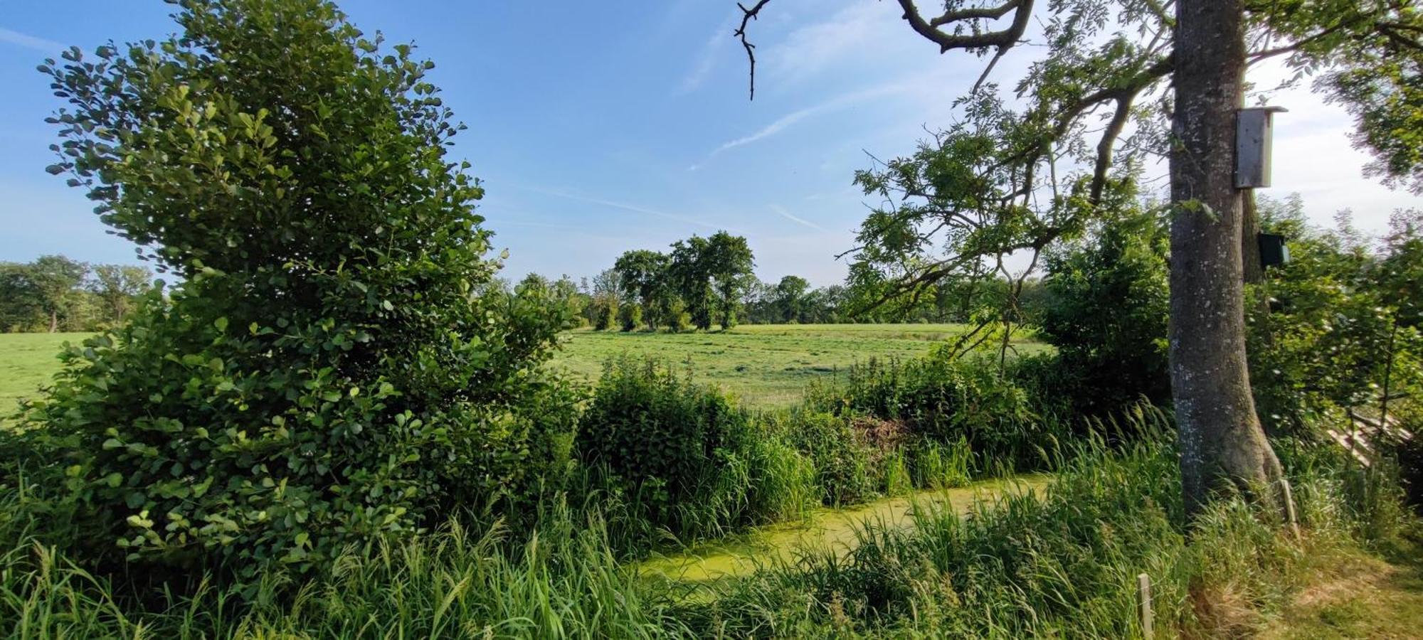 Chalet In Het Groen Met Airco Drachtstercompagnie Exteriör bild